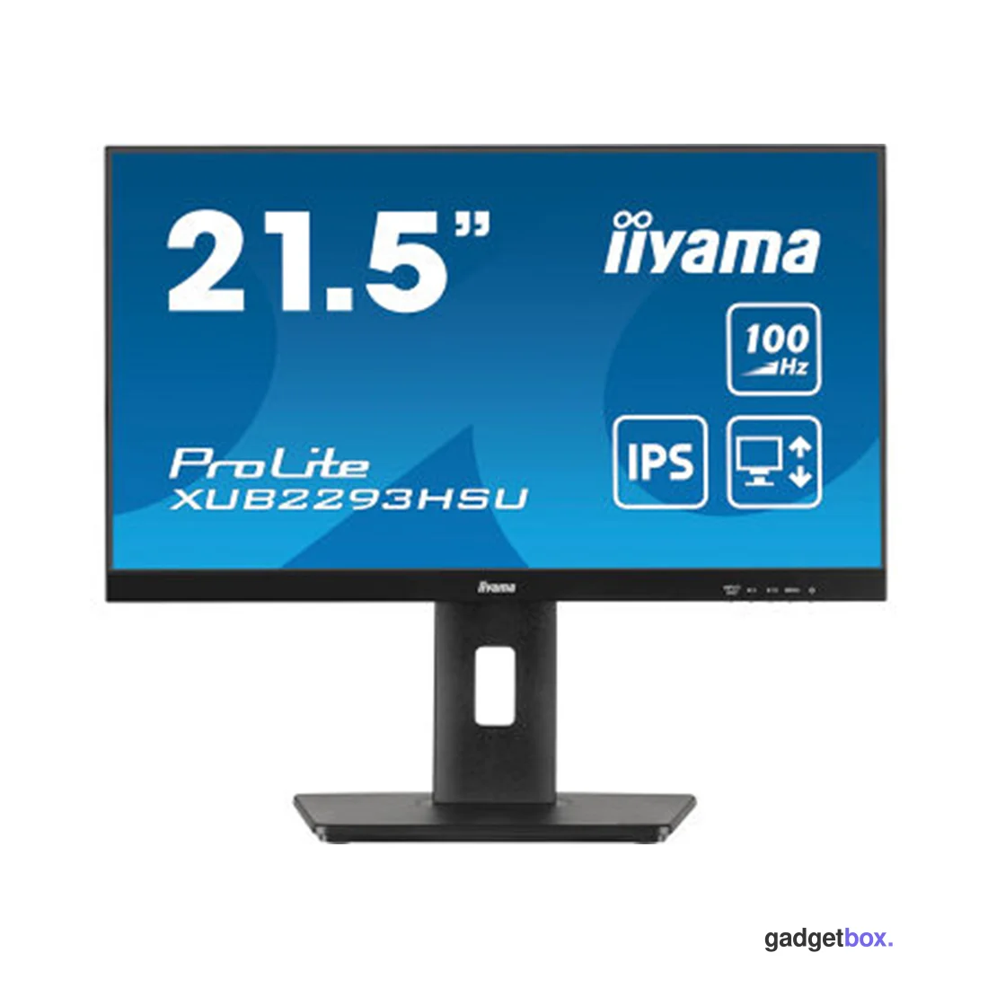 Монитор iiyama ProLite PL2293H XUB2293HSU-B7 21.5"