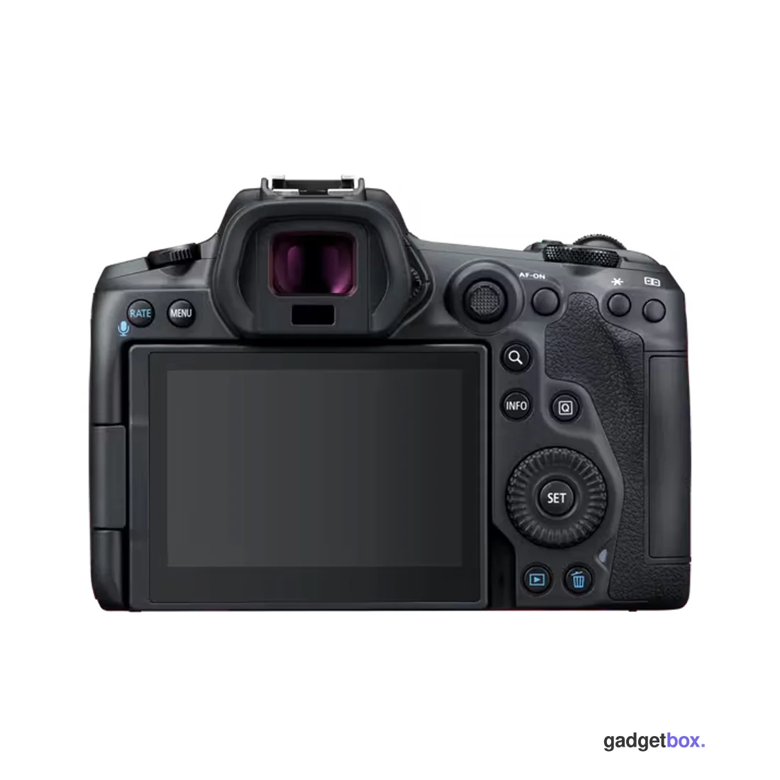 Цифровой фотоаппарат CANON EOS R5 BODY V2.4