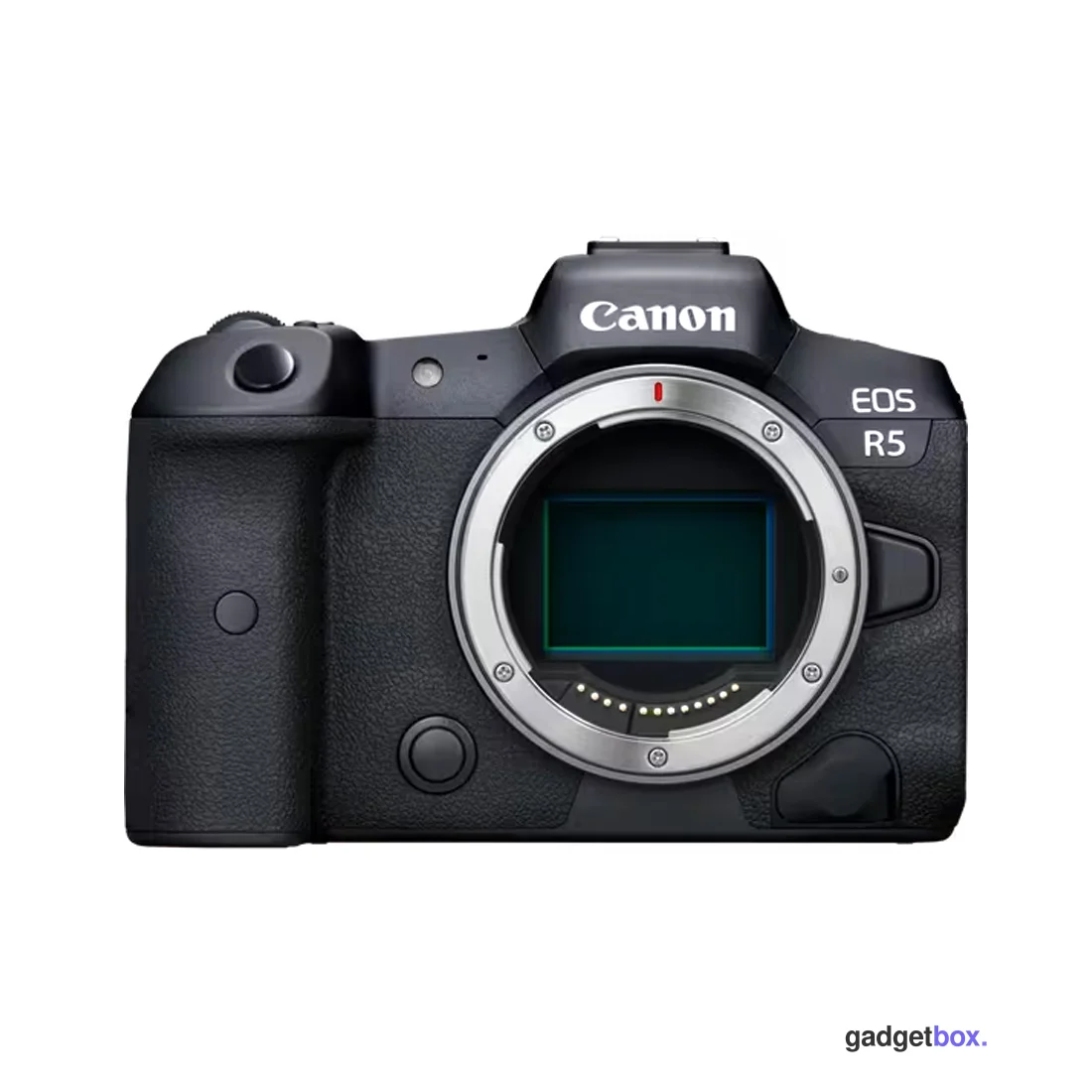 Цифровой фотоаппарат CANON EOS R5 BODY V2.4