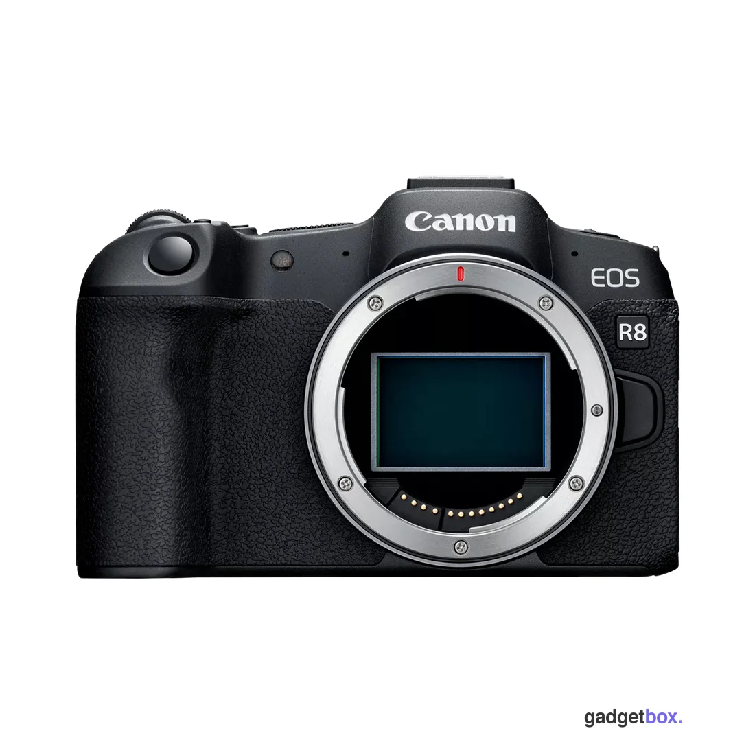 Беззеркальная полнокадровая камера Canon EOS R8 BODY (5803C019)