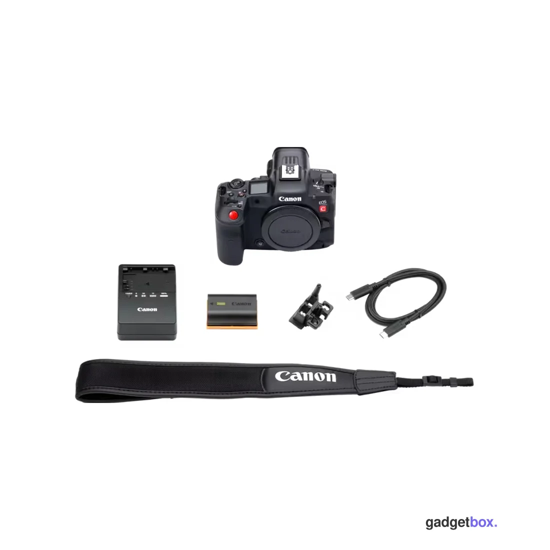 Цифровая видеокамера Canon EOS R5 C