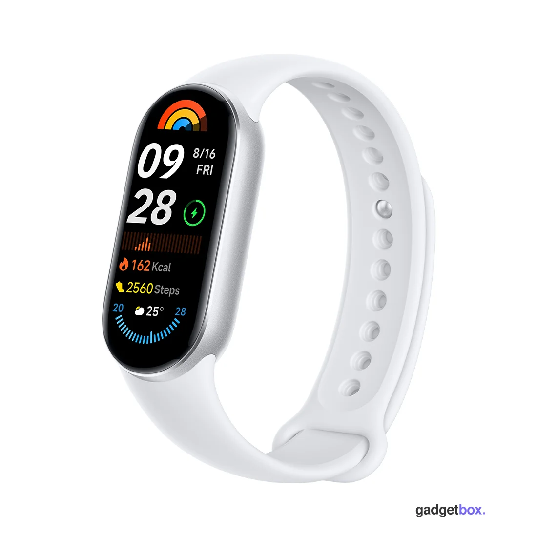 Фитнес браслет Xiaomi Smart Band 9 Glacier Silver