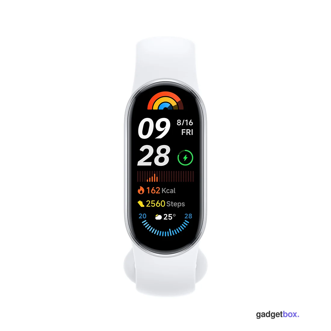 Фитнес браслет Xiaomi Smart Band 9 Glacier Silver