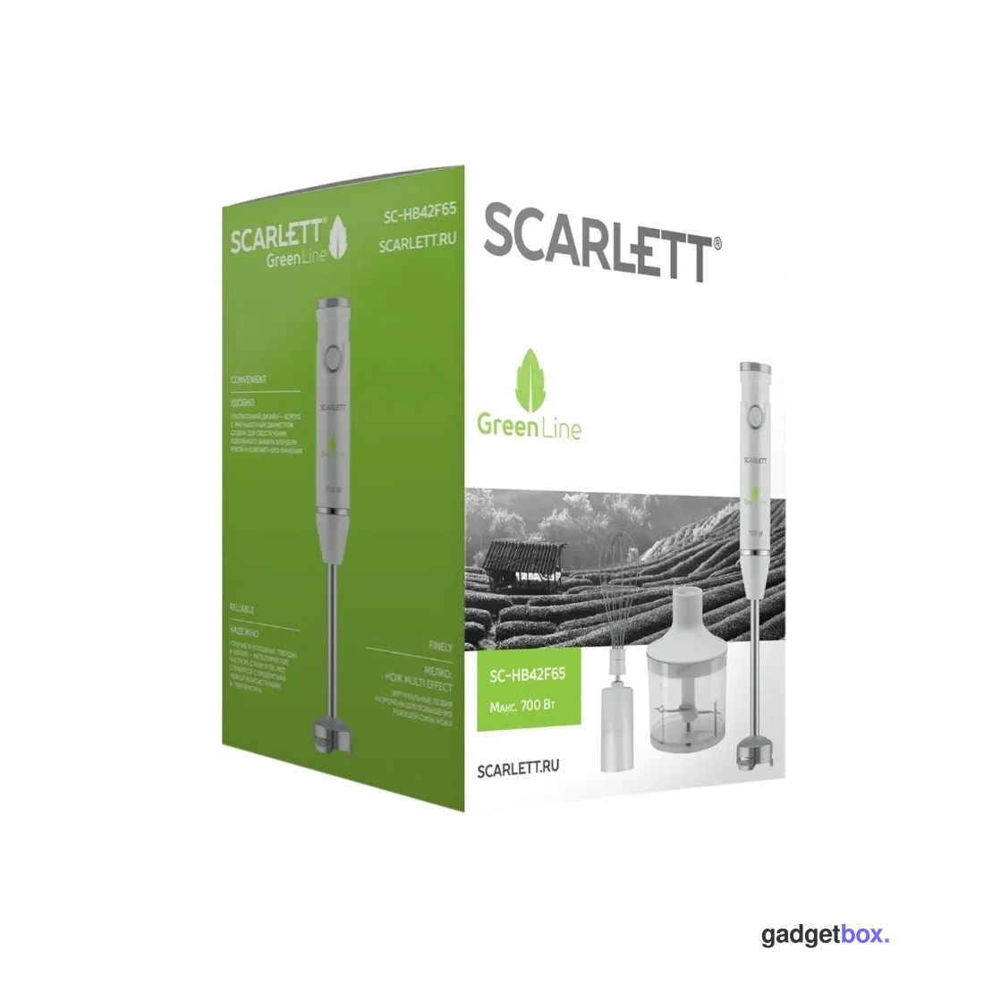 Погружной блендер Scarlett SC-HB42F65