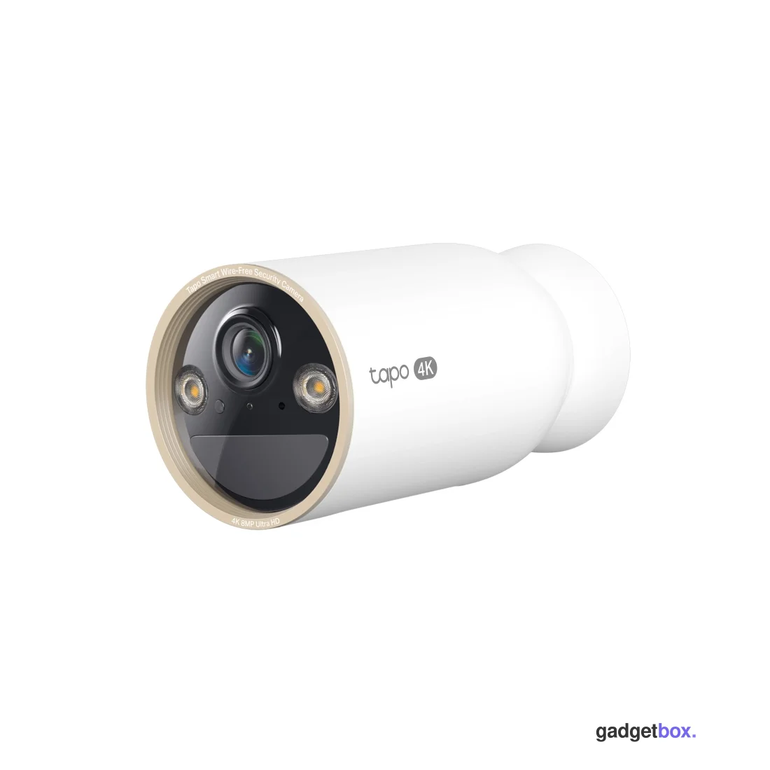 IP-камера TP-Link Tapo C460