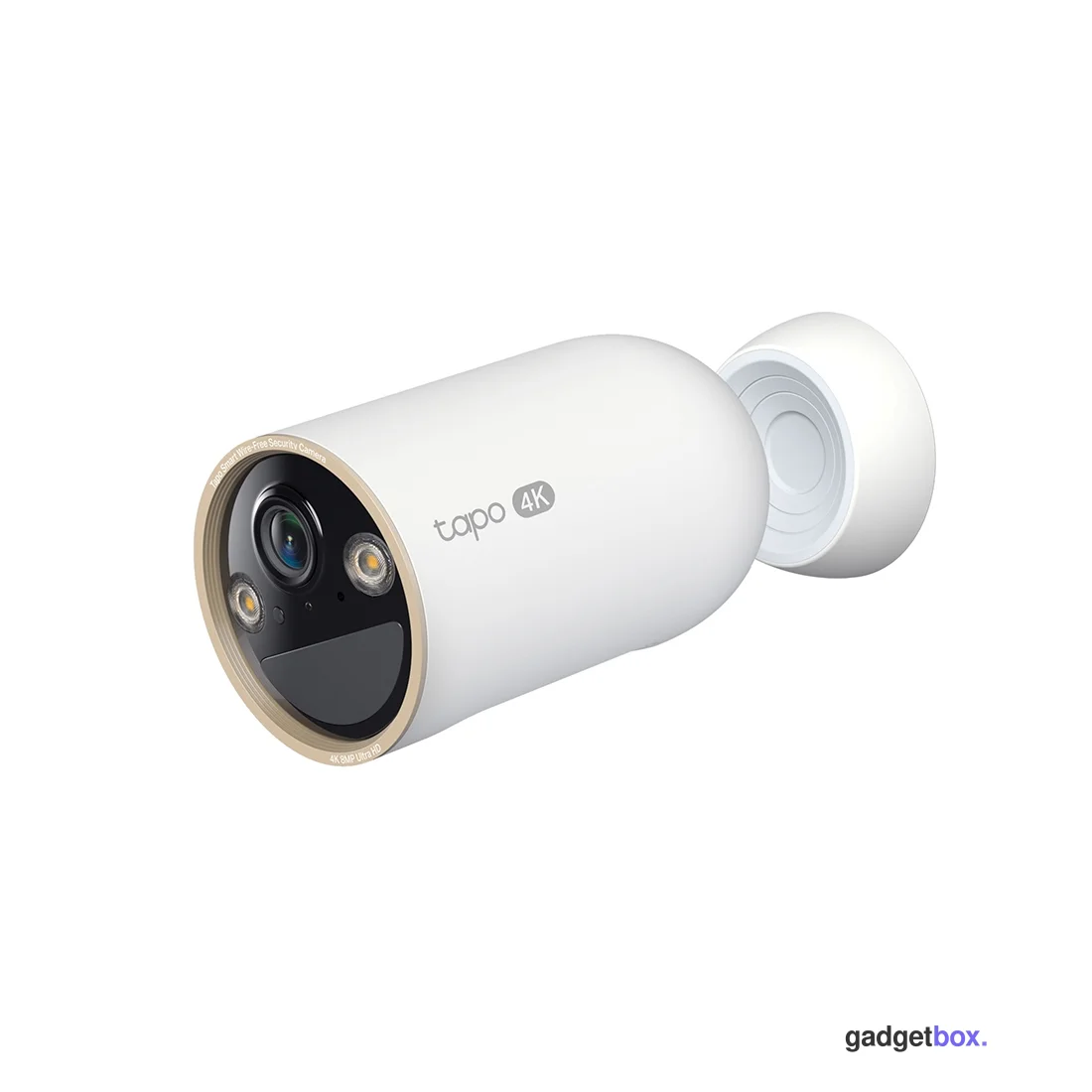 IP-камера TP-Link Tapo C460