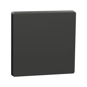 Клавиша MERTEN MTN3300-6034 D-Life 1-ная антрацит