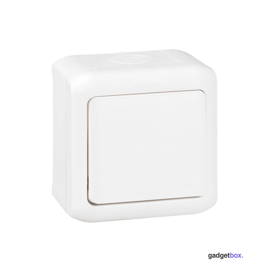 Выключатель Legrand Forix 10A 250В IP44 накладной белый