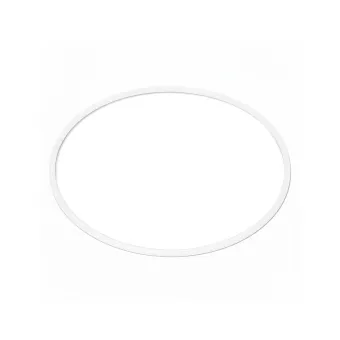 Уплотнительное кольцо Bestway P08666
