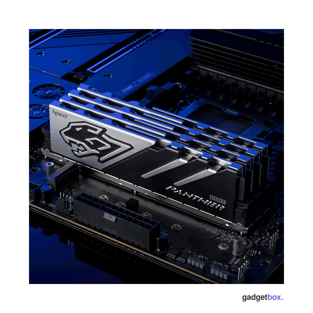 Модуль памяти Apacer Panther AH5U16G60C6227BAA-1 DDR5 16GB