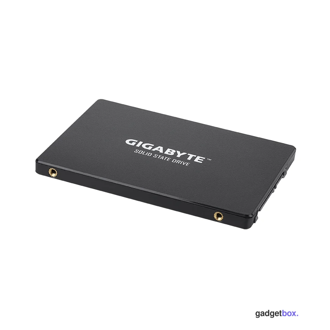 Твердотельный накопитель внутренний Gigabyte GSTFS31240GNTD