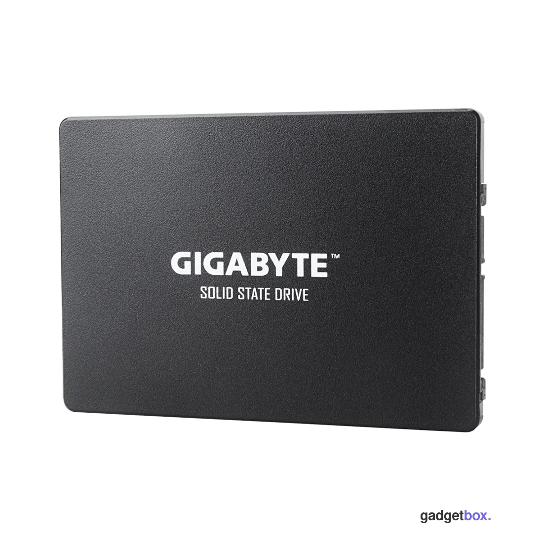 Твердотельный накопитель внутренний Gigabyte GSTFS31240GNTD