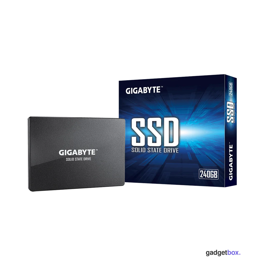 Твердотельный накопитель внутренний Gigabyte GSTFS31240GNTD