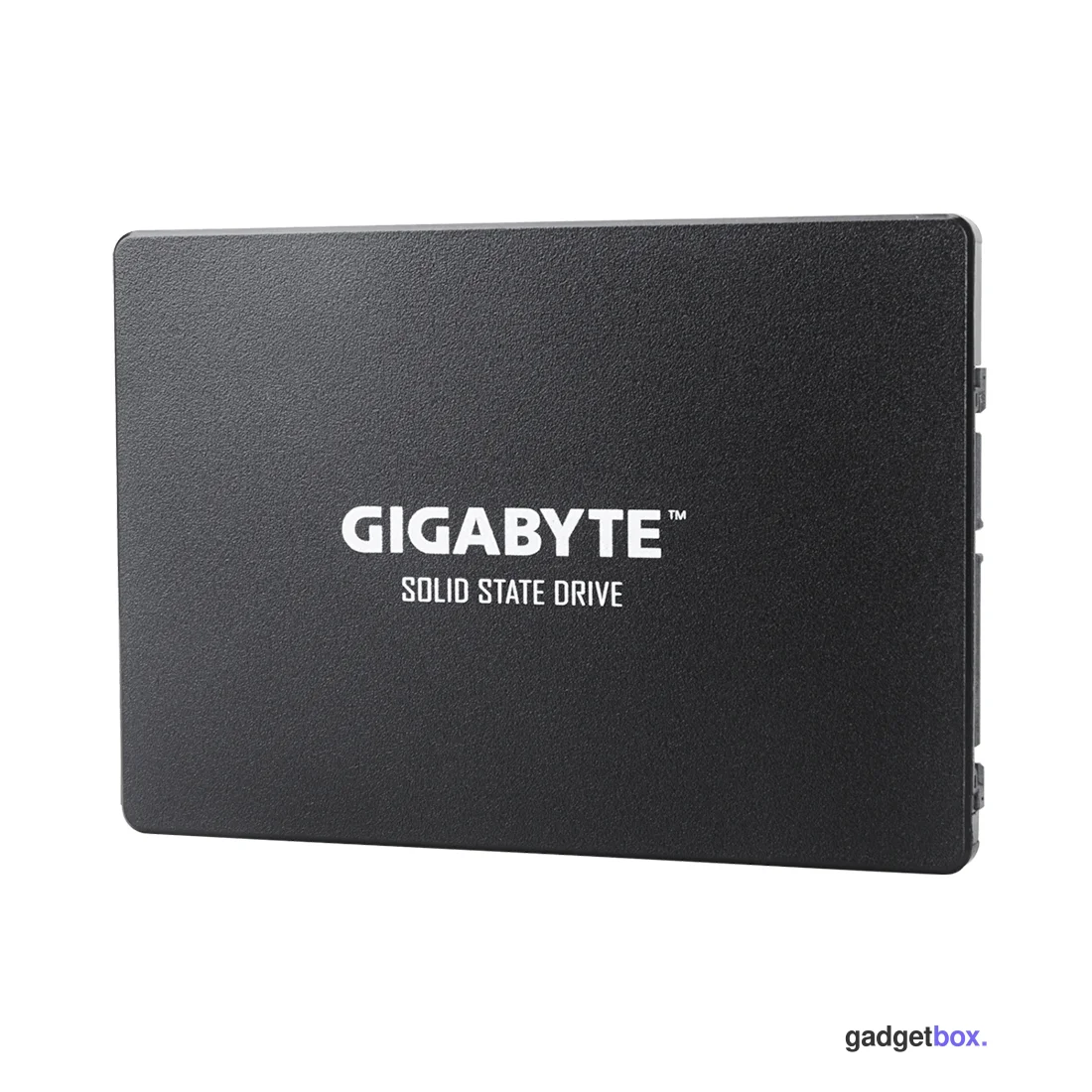 Твердотельный накопитель внутренний Gigabyte GSTFS31256GTND