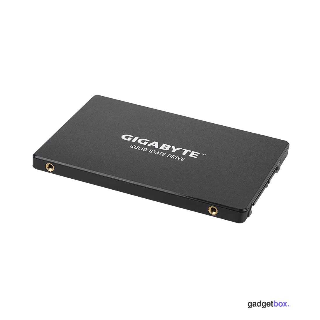 Твердотельный накопитель внутренний Gigabyte GSTFS31256GTND