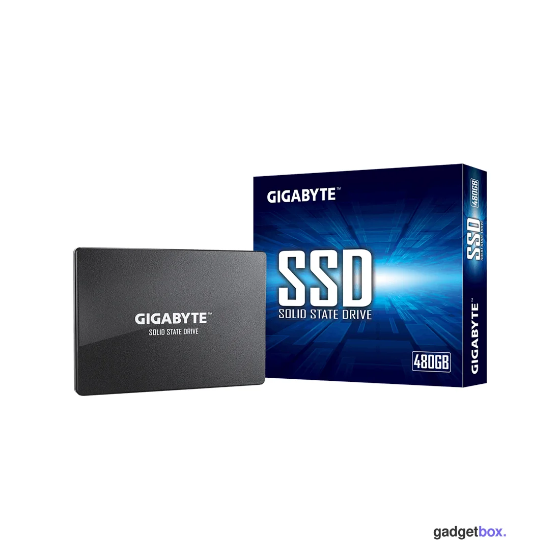 Твердотельный накопитель внутренний Gigabyte GSTFS31480GNTD