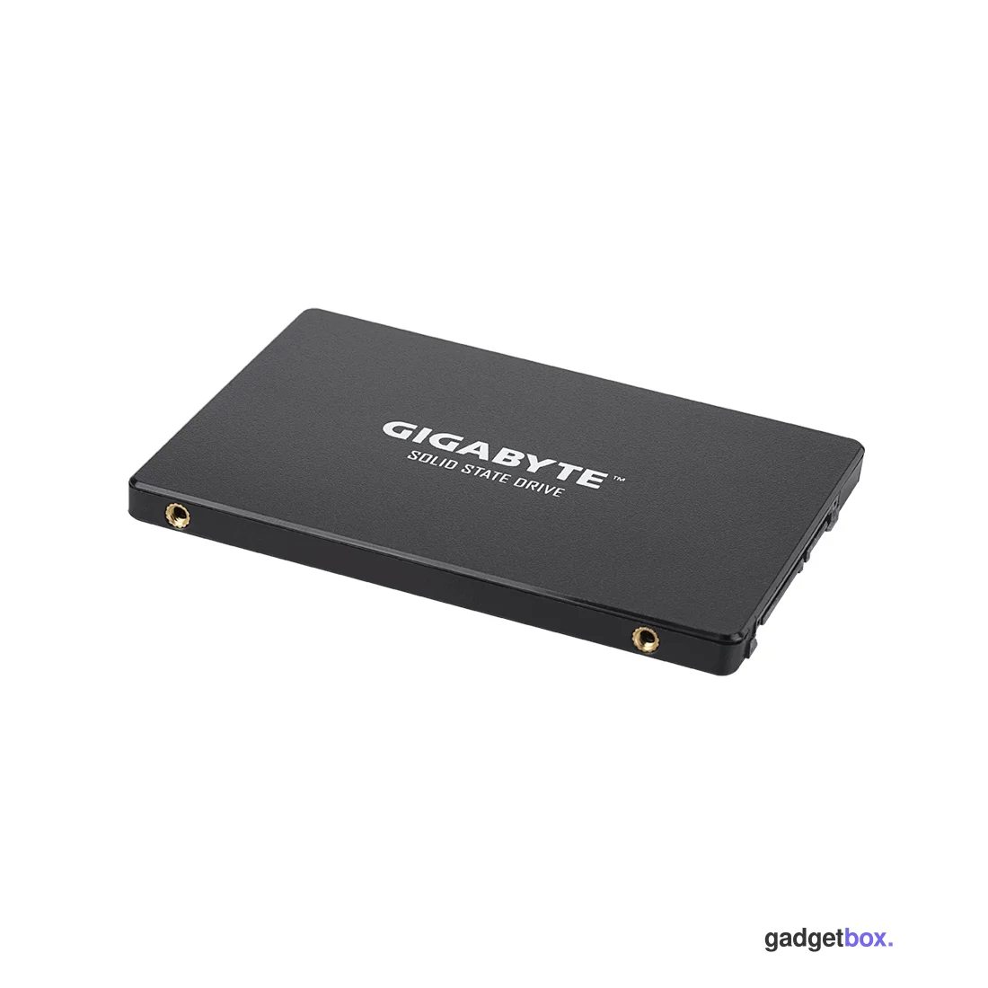Твердотельный накопитель внутренний Gigabyte GSTFS31480GNTD