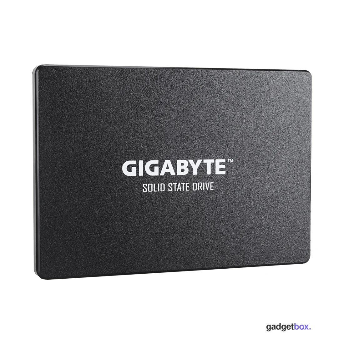 Твердотельный накопитель внутренний Gigabyte GP-GSTFS31100TNTD