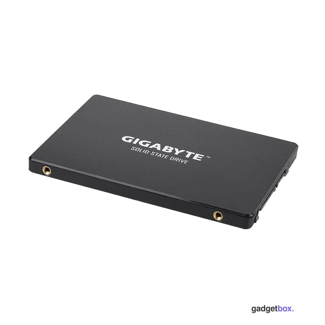 Твердотельный накопитель внутренний Gigabyte GP-GSTFS31100TNTD