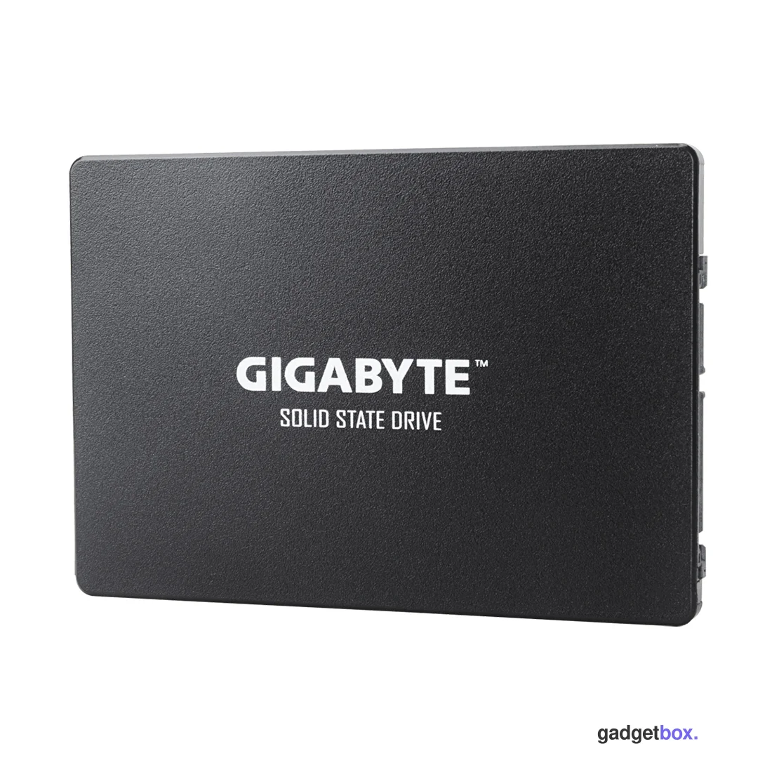 Твердотельный накопитель внутренний Gigabyte GP-GSTFS31100TNTD