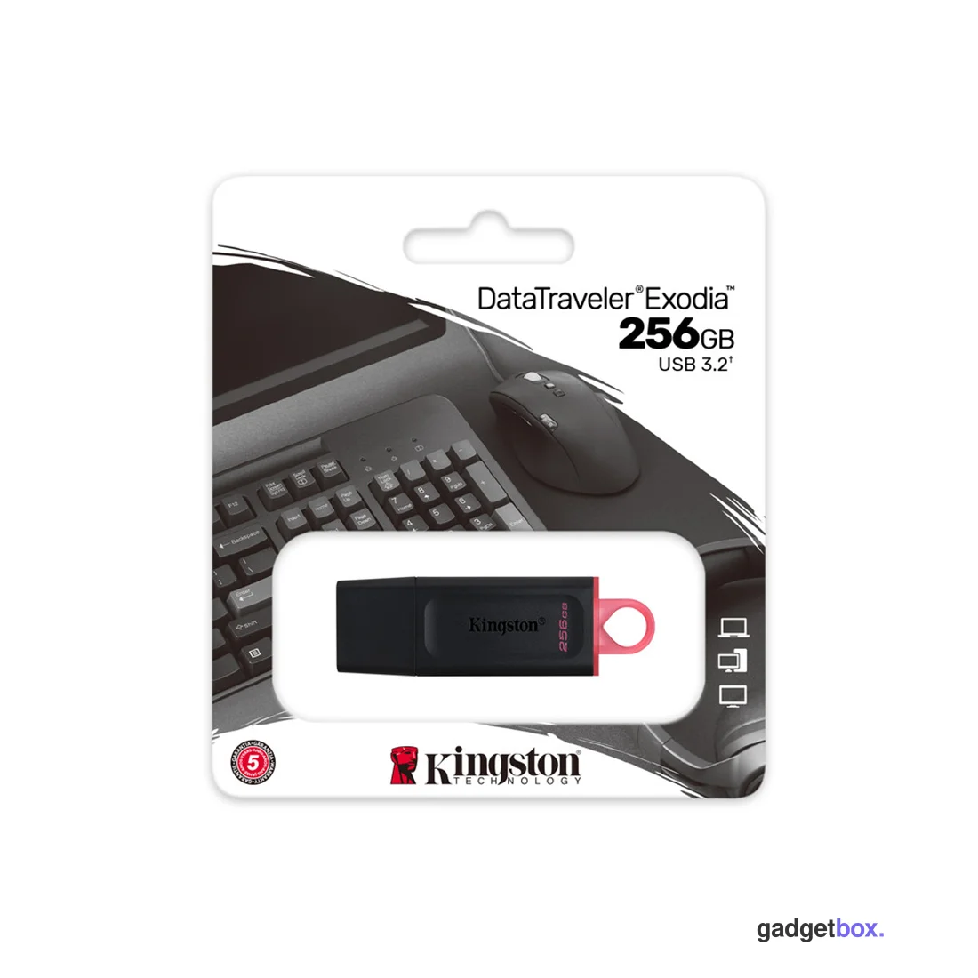USB-накопитель Kingston DTX/256GB 256GB Чёрный