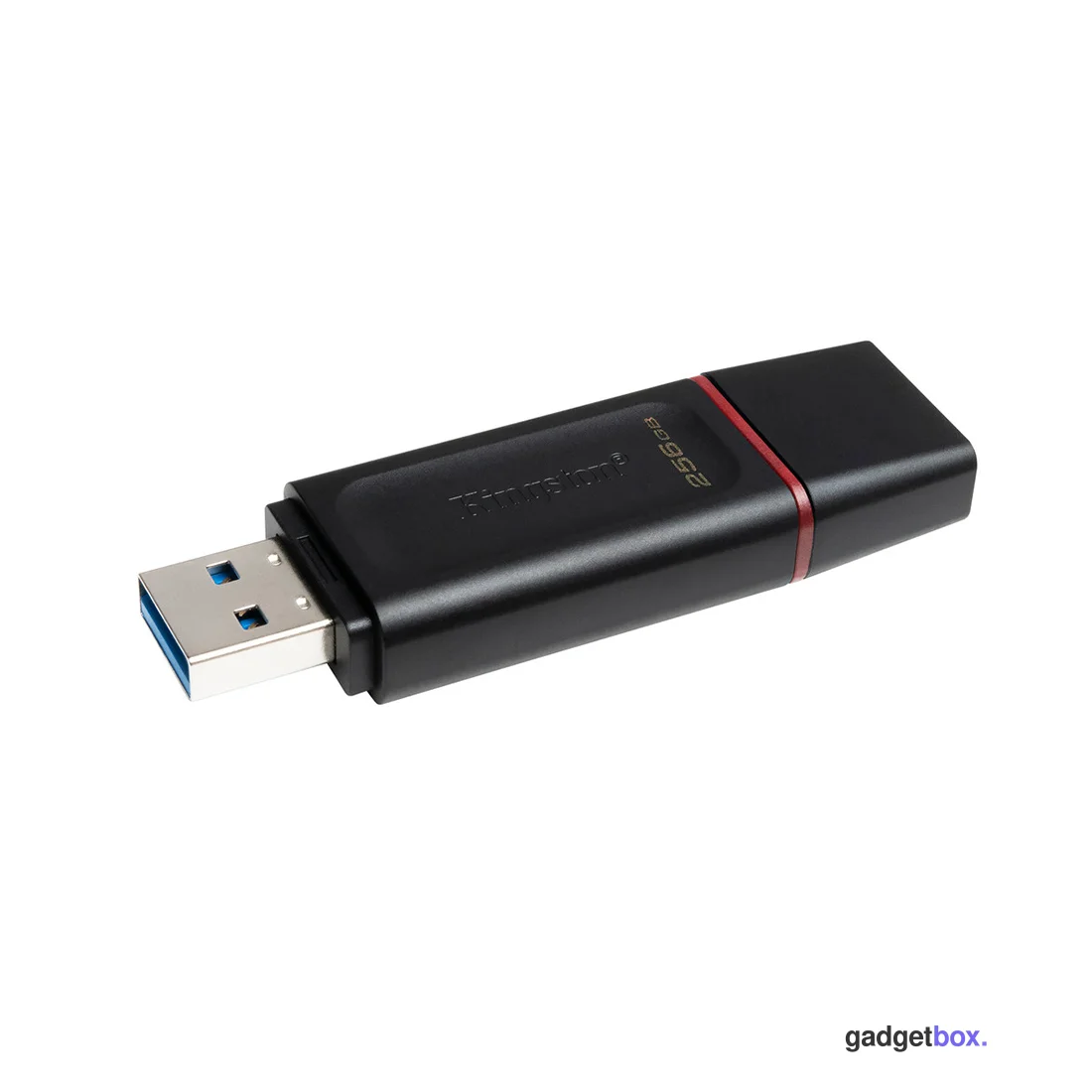 USB-накопитель Kingston DTX/256GB 256GB Чёрный