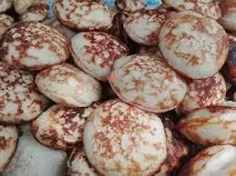 Beignets de Riz Fermentés (Massa Traditionnel)