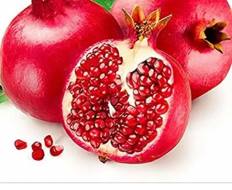 Artisanal Pomegranate & Red Berry Grenadine Syrup