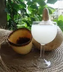 Artisanal Fermented Cocoa Pulp Wine