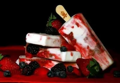 Bâtonnets de Yaourt Glacé Cassis & Fraise