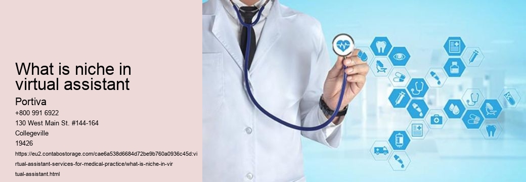 What is niche in virtual assistant