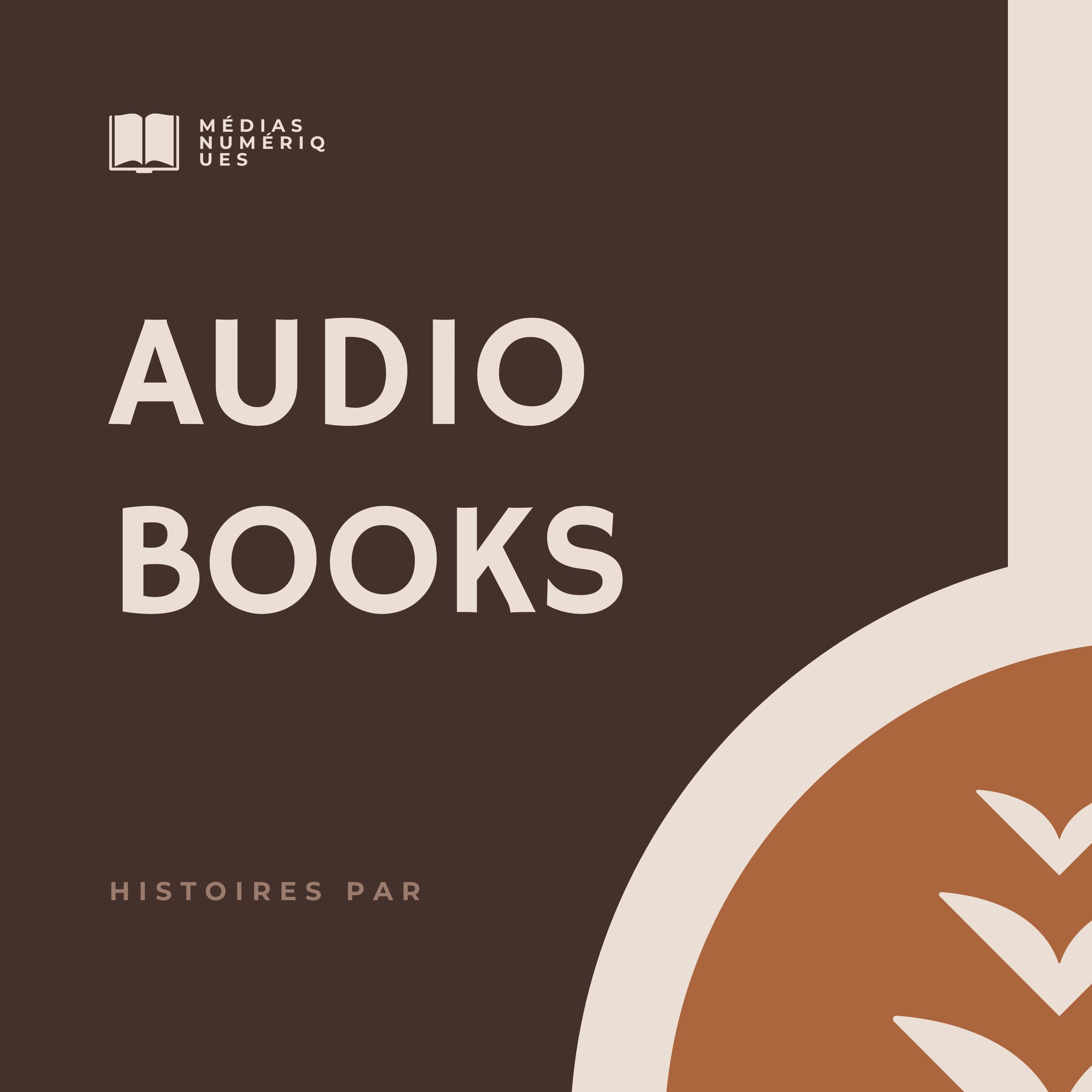 Your Sonic Library Through Audiobooks