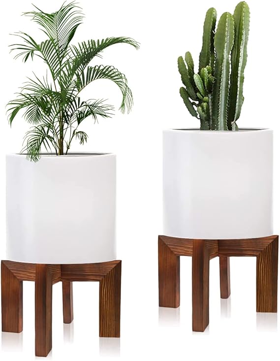 Modern Indoor Wooden Plant Stand