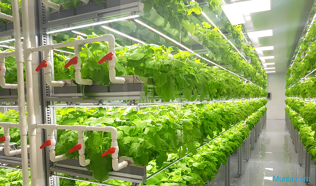 Intelligent vertical farming system