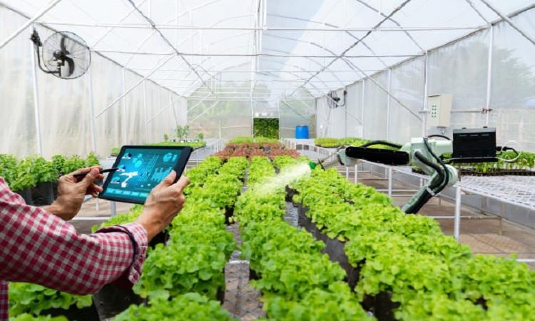 Intelligent agricultural control system