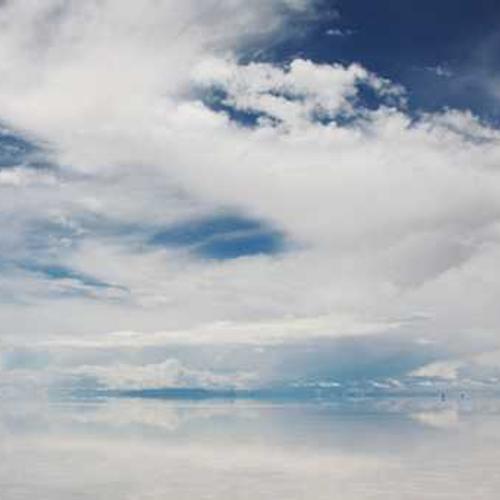 Garden Rake Heavy Duty