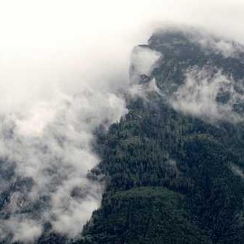 Automatic Irrigation System