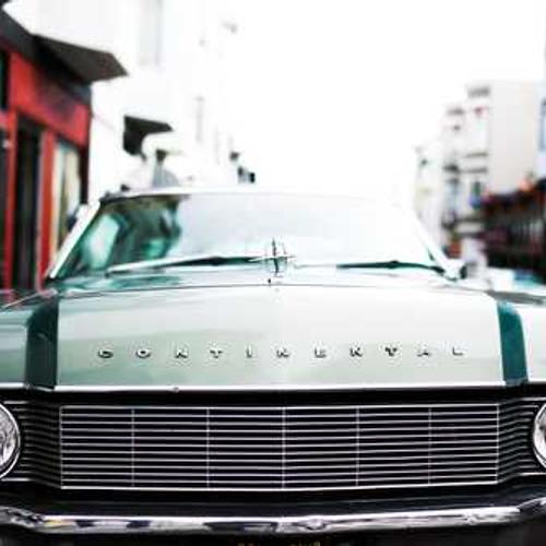 Garden Pruning Shears