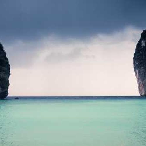 Garden Pruning Shears