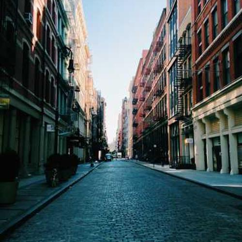 Fresh Organic Vegetables Box
