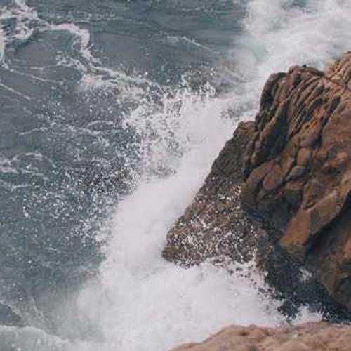 Professional Garden Shovel