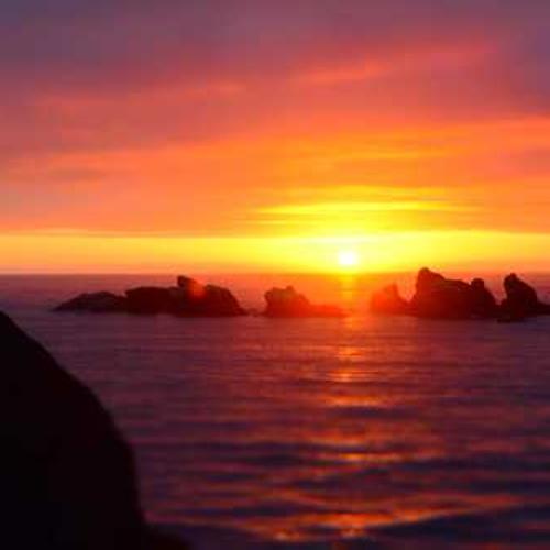 Garden Rake Heavy Duty