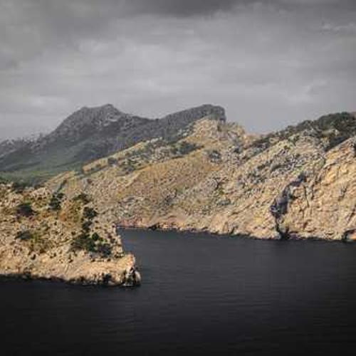 Organic Fertilizer 5kg