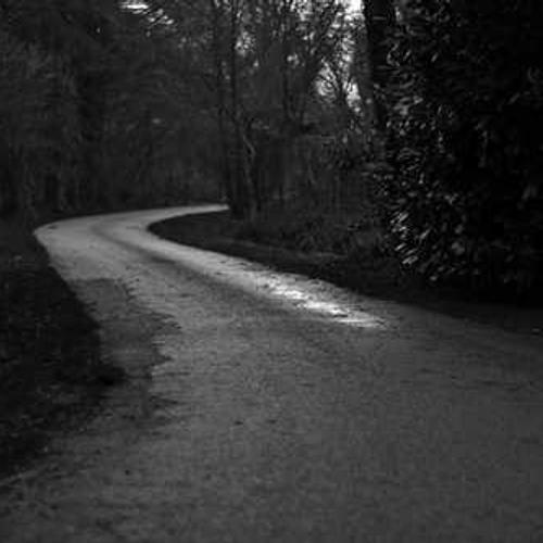 Premium Quality Seeds Pack