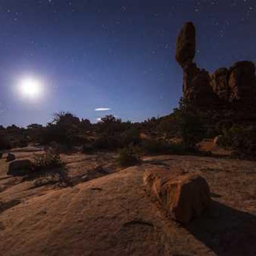 Fresh Organic Vegetables Box