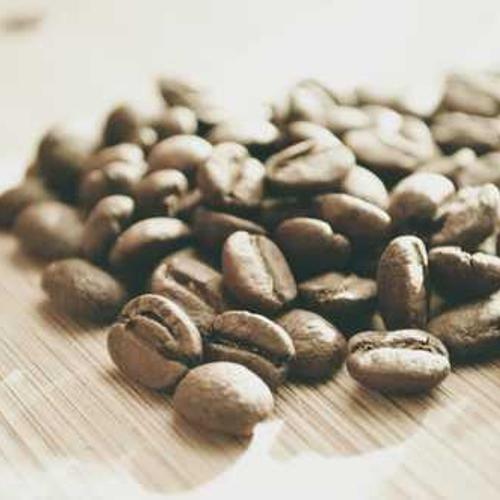 Garden Rake Heavy Duty