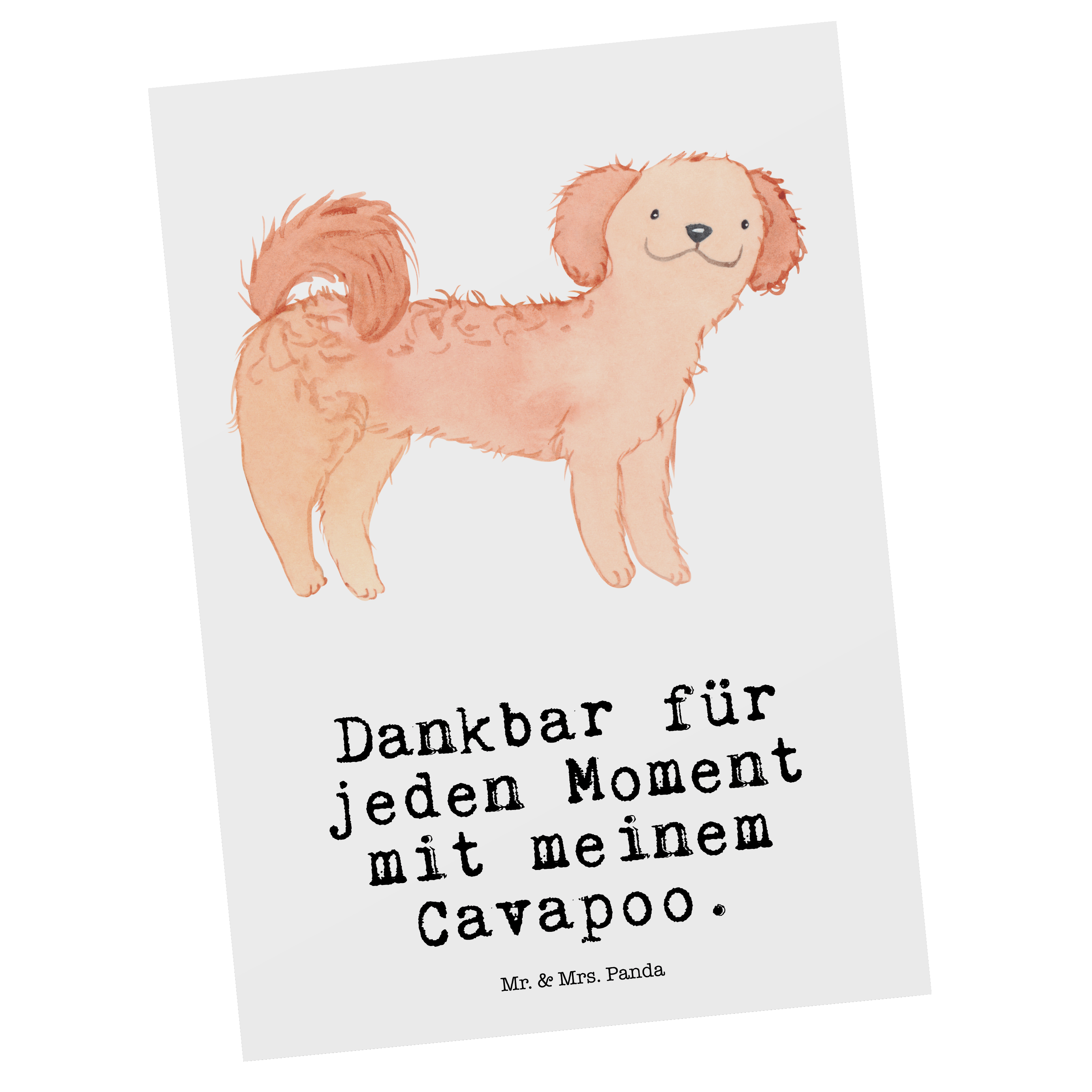 Postkarte Cavapoo Moment