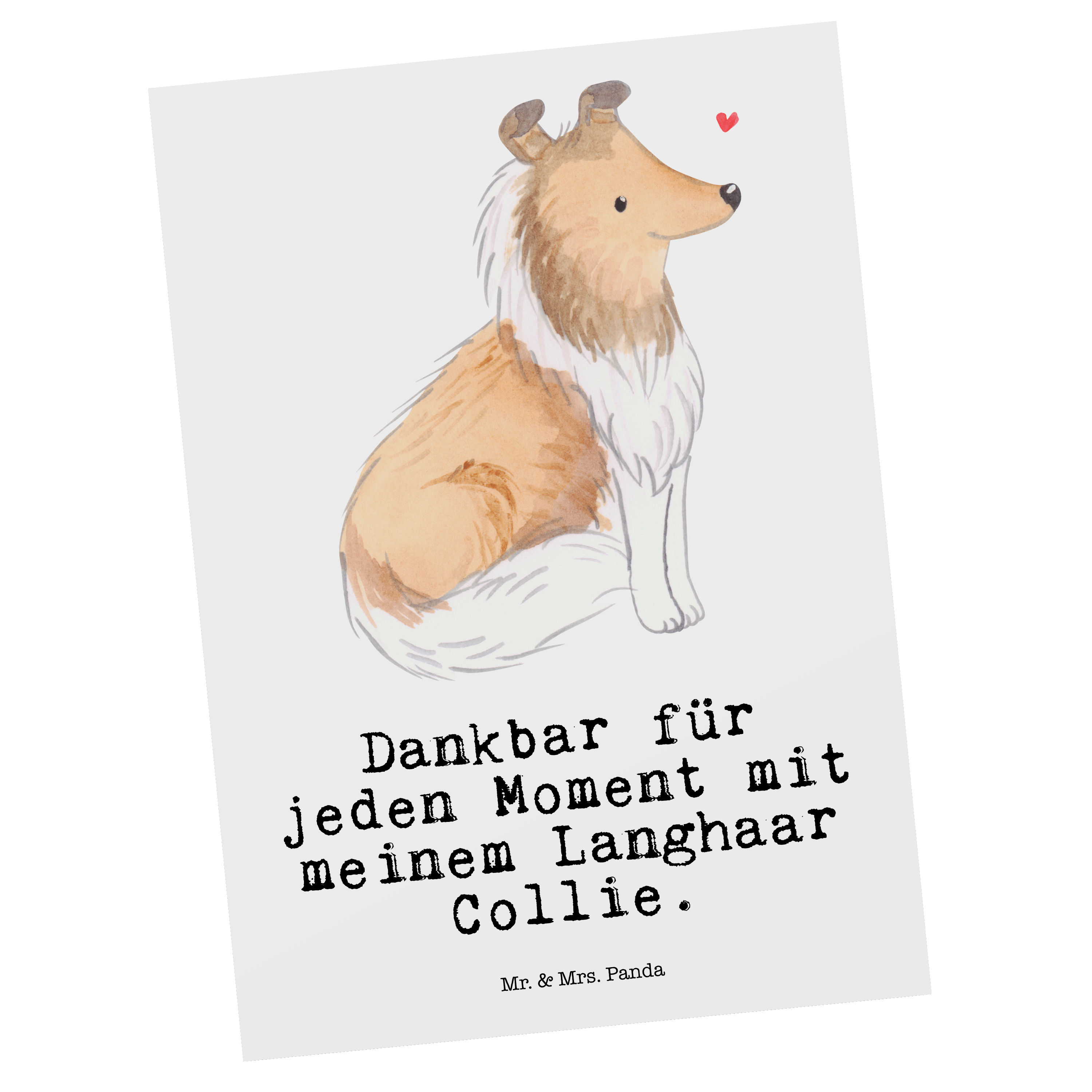 Postkarte Langhaar Collie Moment