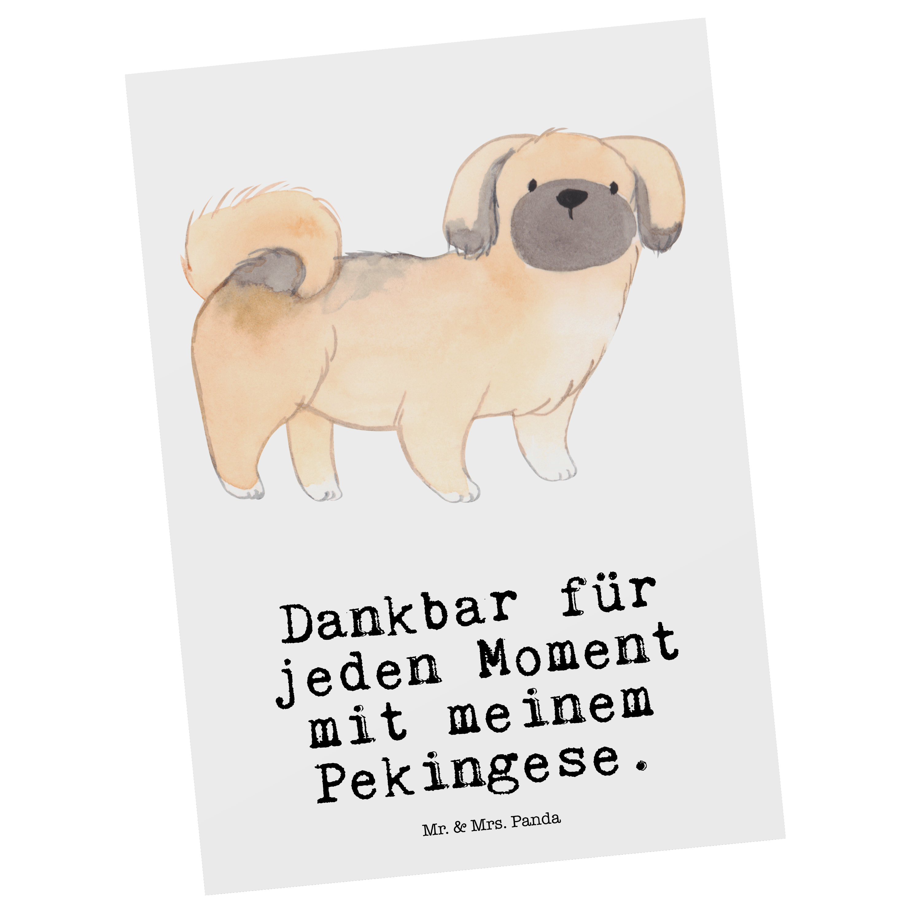 Postkarte Pekingese Moment