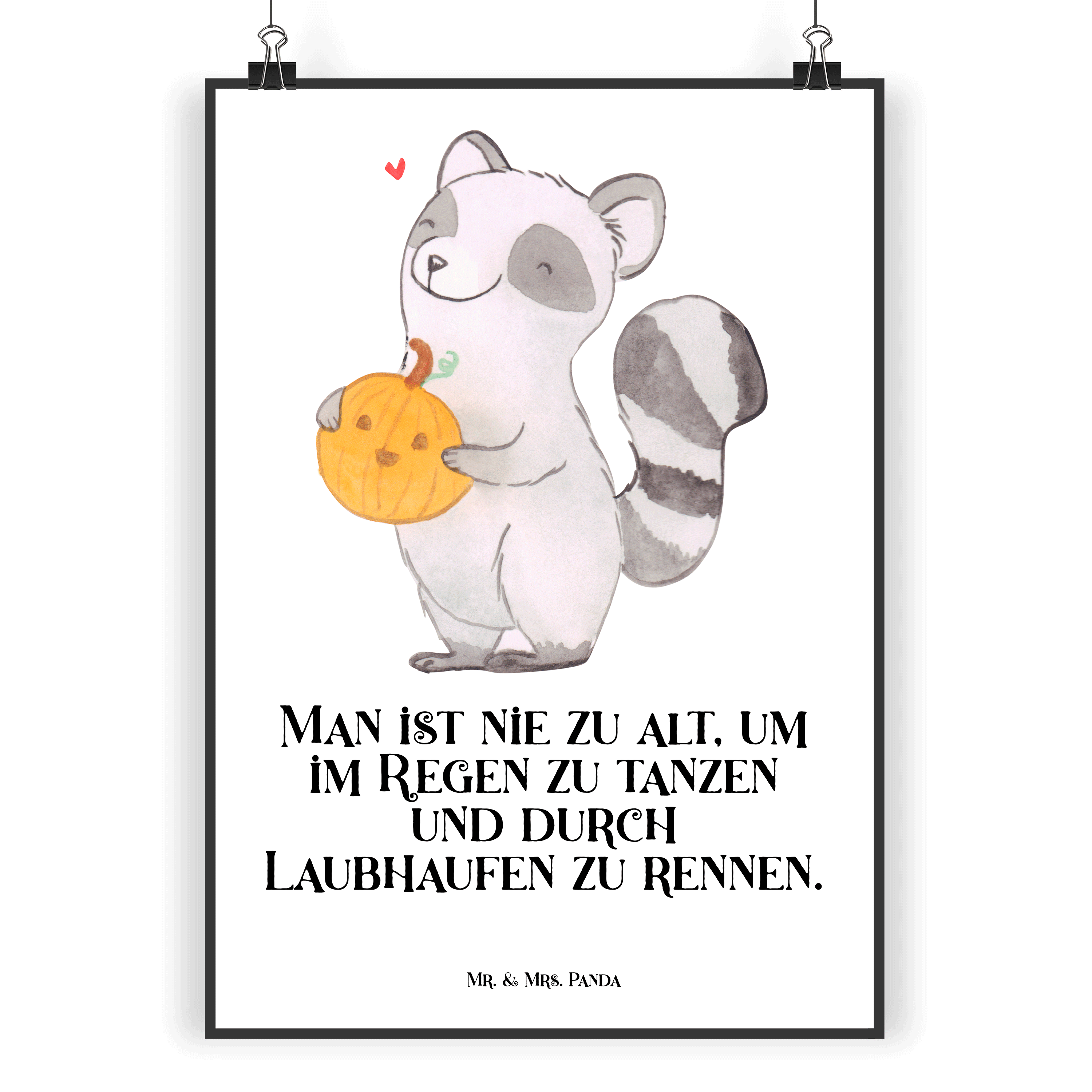 Poster Waschbär Kürbis